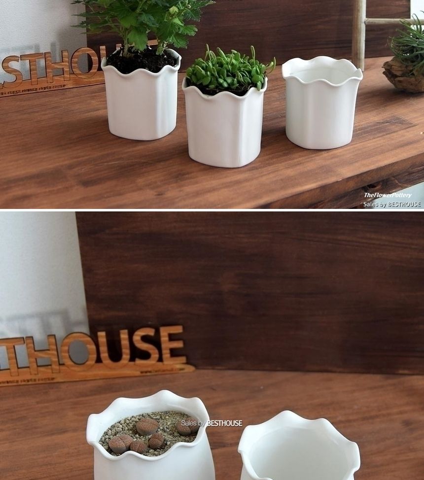 더플라워포터리 고강도 화이트 토분 사각형8x10cm/화분/흙화분/토분/예쁜화분/디자인화분/인테리어화분/인