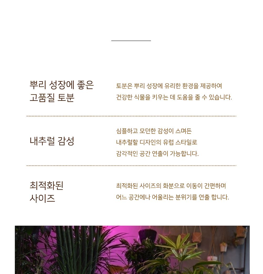 3개셋이태리풍 토분화분 JV10 17x16 22x20 30x25cm (장미)/화분/흙화분/토분/예쁜화분/디자인화분/인테리어