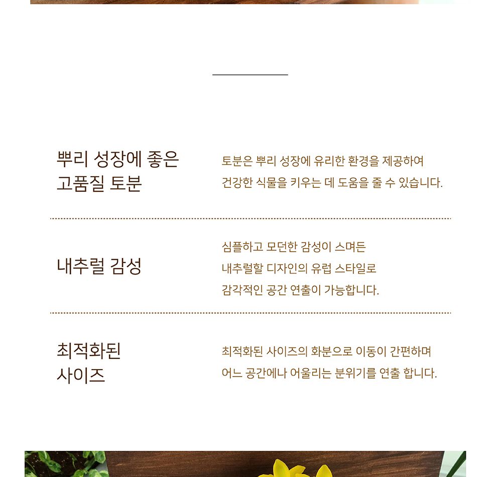 베트남 토분 그레이프(포도) 25x18cm 살구색/화분/흙화분/토분/토분세트/화분세트/인테리어화분/인테리어토