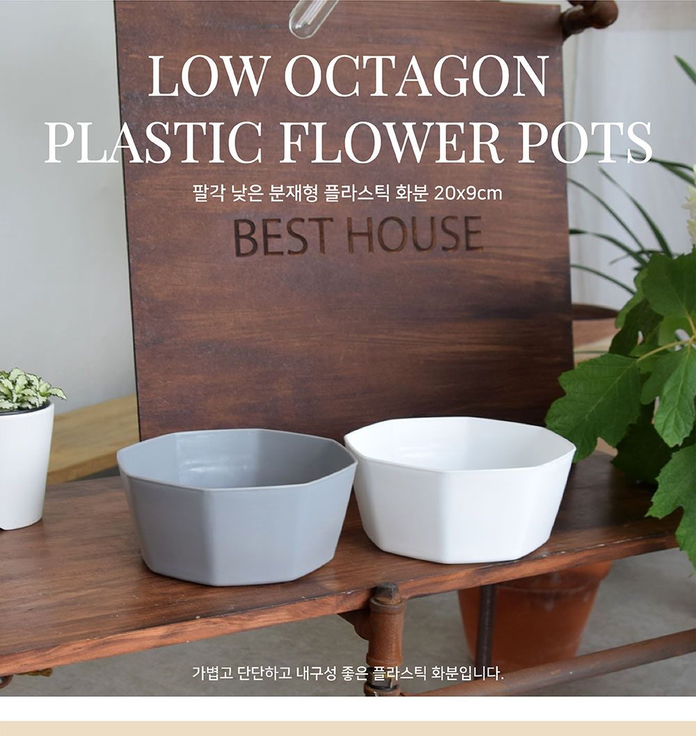 팔각 낮은 분재형 플라스틱 화분 20x9cm/화분/분갈이/분갈이화분/플라스틱화분/원형화분/흰색화분/거실화분