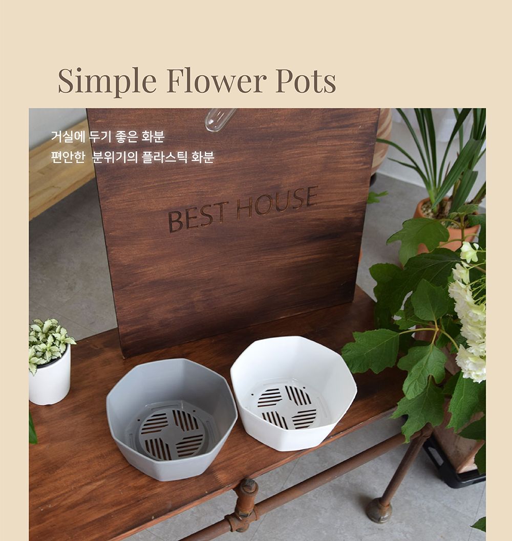 팔각 낮은 분재형 플라스틱 화분 20x9cm/화분/분갈이/분갈이화분/플라스틱화분/원형화분/흰색화분/거실화분