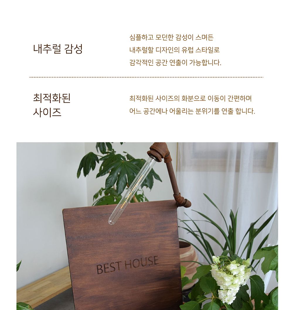 팔각 낮은 분재형 플라스틱 화분 20x9cm/화분/분갈이/분갈이화분/플라스틱화분/원형화분/흰색화분/거실화분