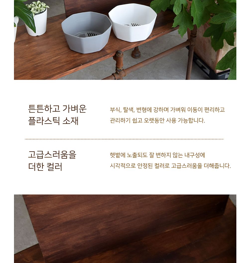 팔각 낮은 분재형 플라스틱 화분 20x9cm/화분/분갈이/분갈이화분/플라스틱화분/원형화분/흰색화분/거실화분