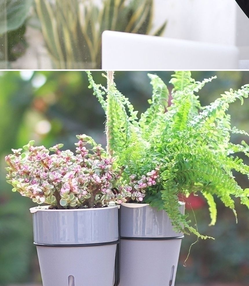 철제벽걸이 저면관수 플라스틱 화분/화분/정원용품/홈가드닝용품/가드닝용품/가정용화분/식물화분/꽃화분/