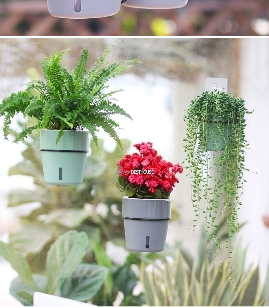 철제벽걸이 저면관수 플라스틱 화분/화분/정원용품/홈가드닝용품/가드닝용품/가정용화분/식물화분/꽃화분/