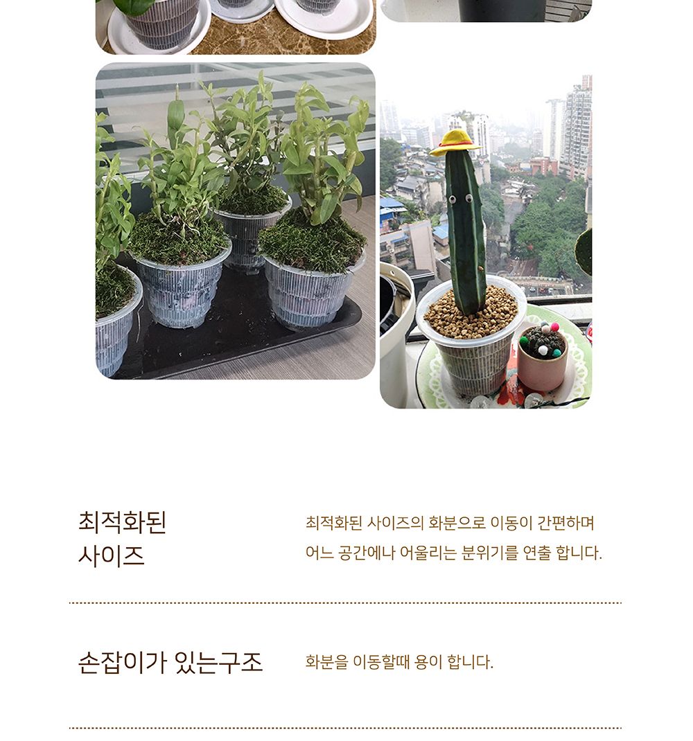 매쉬포트 슬릭화분 난재배용 플라스틱 타공 화분 12.5cm/화분/정원용품/홈가드닝용품/가드닝용품/가정용화