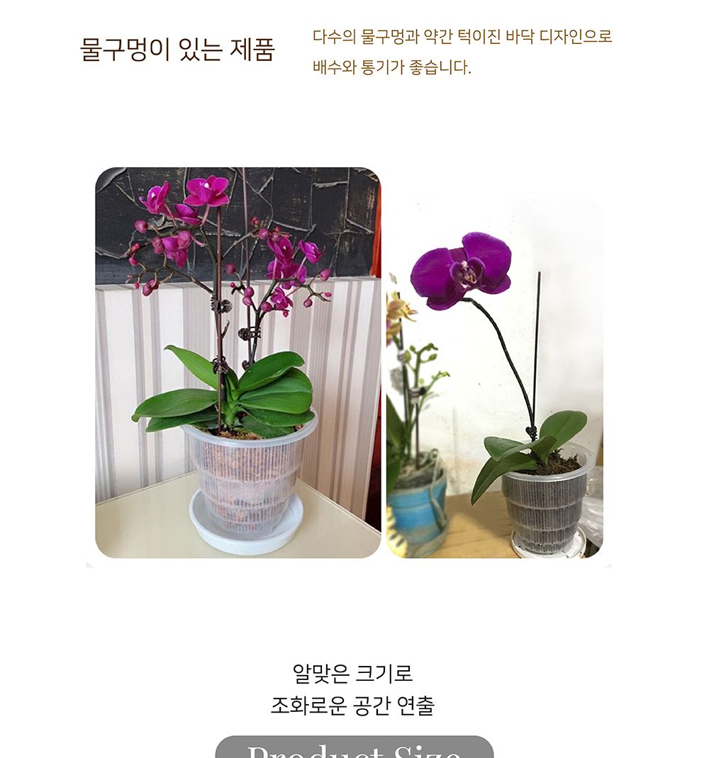 매쉬포트 슬릭화분 난재배용 플라스틱 타공 화분 12.5cm/화분/정원용품/홈가드닝용품/가드닝용품/가정용화