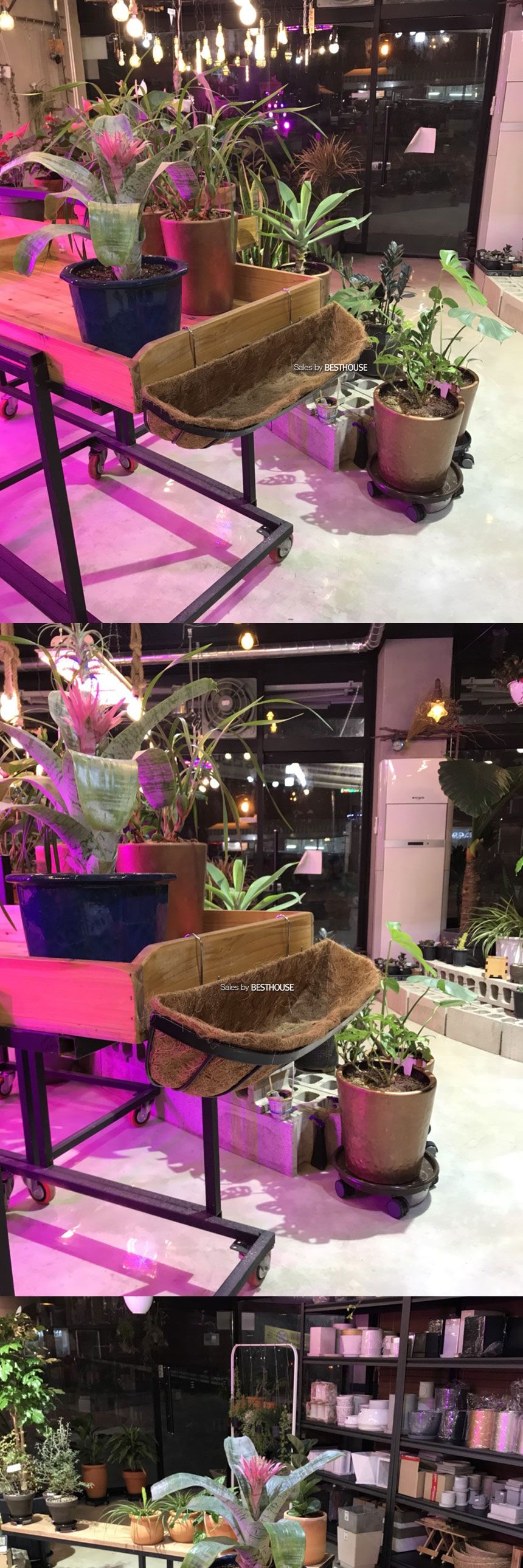 벽걸이형 코코넛 야자 행잉 바구니(중)62x20cm/바구니/원예용바구니/인테리어바구니/꽃바구니/화분바구니/