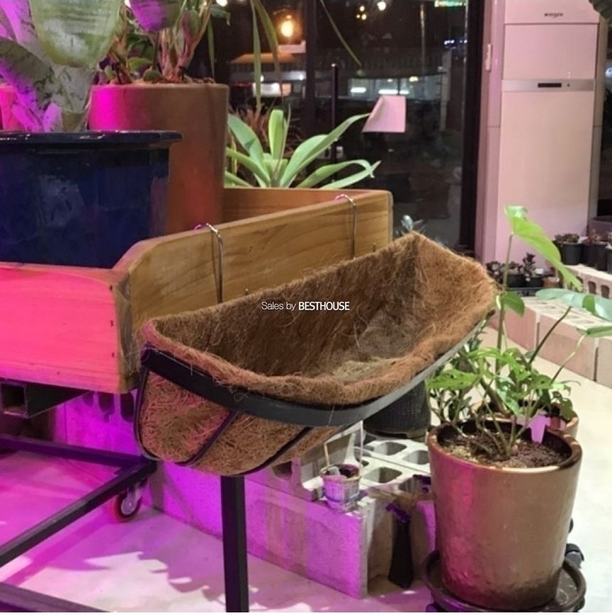벽걸이형 코코넛 야자 행잉 바구니(중)62x20cm/바구니/원예용바구니/인테리어바구니/꽃바구니/화분바구니/