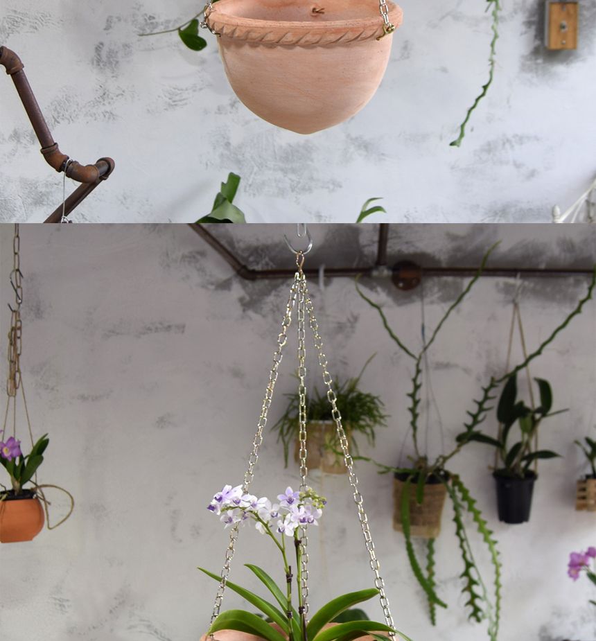 이탈리아 데로마 행잉 토분 반구(팽이) 25cm/화분/흙화분/토분/예쁜화분/디자인화분/인테리어화분/인테리어