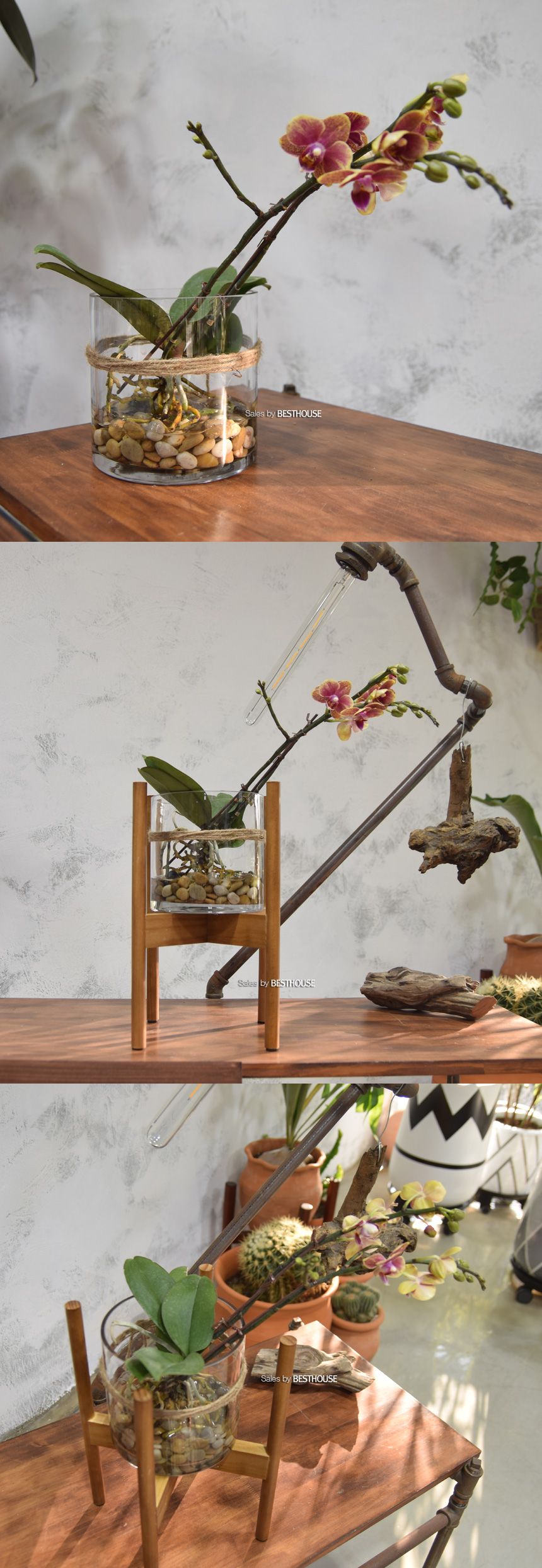 유리화분 화병 수반 SH12x12 (정원형)/수반/화병/인테리어수반/인테리어화병/디자인수반/디자인화병/꽃병/