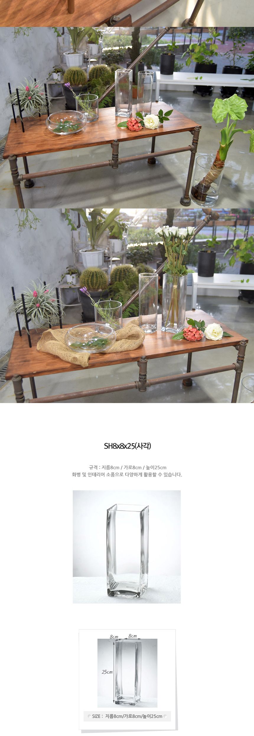 유리화분 화병 수반 SH12x12 (정원형)/수반/화병/인테리어수반/인테리어화병/디자인수반/디자인화병/꽃병/