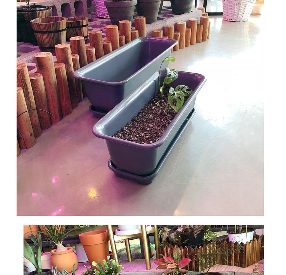 베란다 텃밭용 플라스틱 화분-화초박스 뷰티 50cm 받침셋트/화분/네모화분/사각화분/모던사각화분/예쁜사각