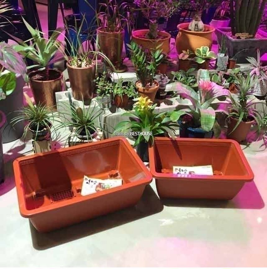 베란다 텃밭용 플라스틱 화분 직사각(바퀴이동형)2호(59x39cm)/화분/네모화분/사각화분/모던사각화분/예쁜