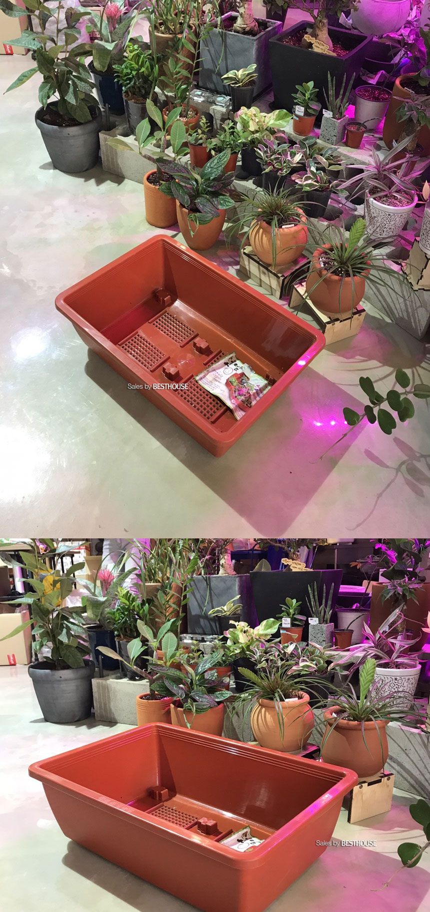 베란다 텃밭용 플라스틱 화분 직사각(바퀴이동형)1호(50x32cm)/화분/네모화분/사각화분/모던사각화분/예쁜