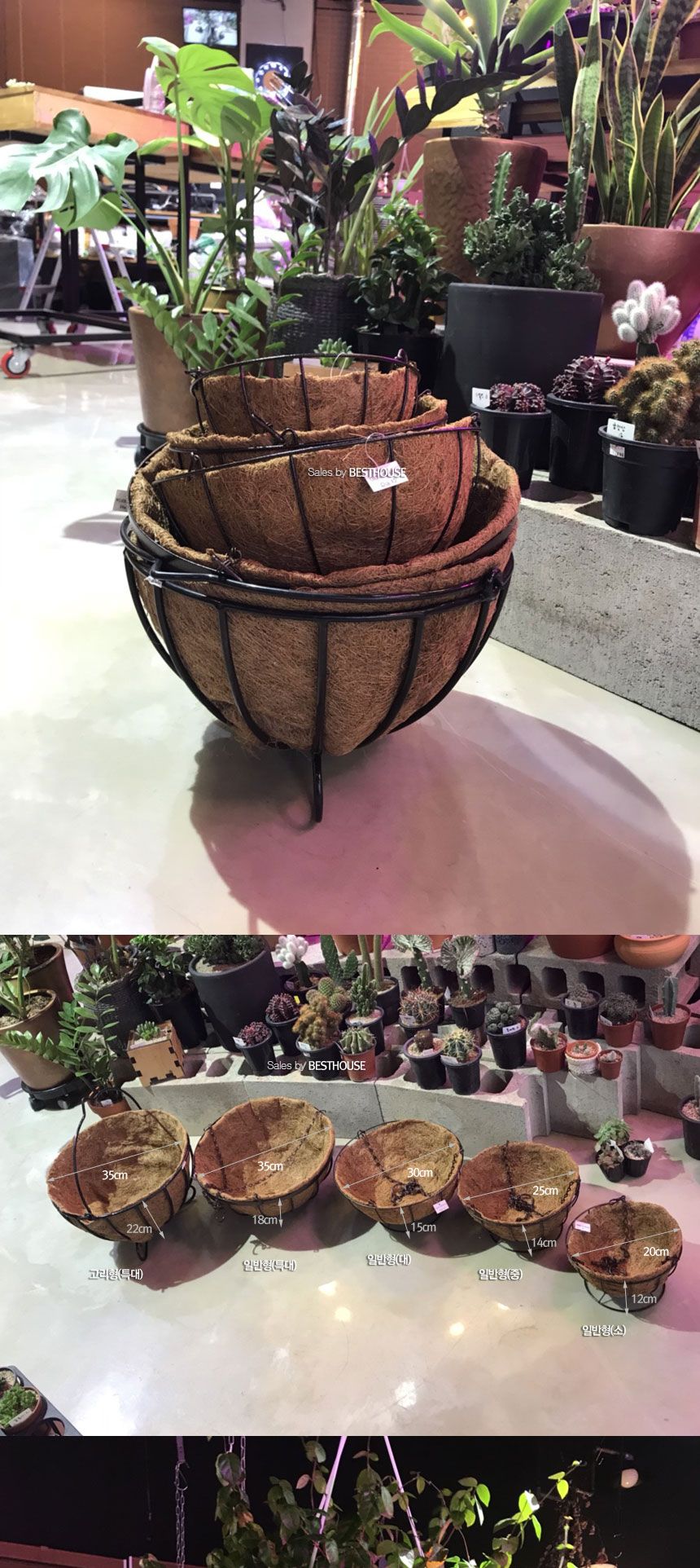 공중걸이 행잉 바구니 원형 일반형(대) 30cm 코코넛 야자/행잉화분/바구니화분/걸이식화분/공중부양화분/공