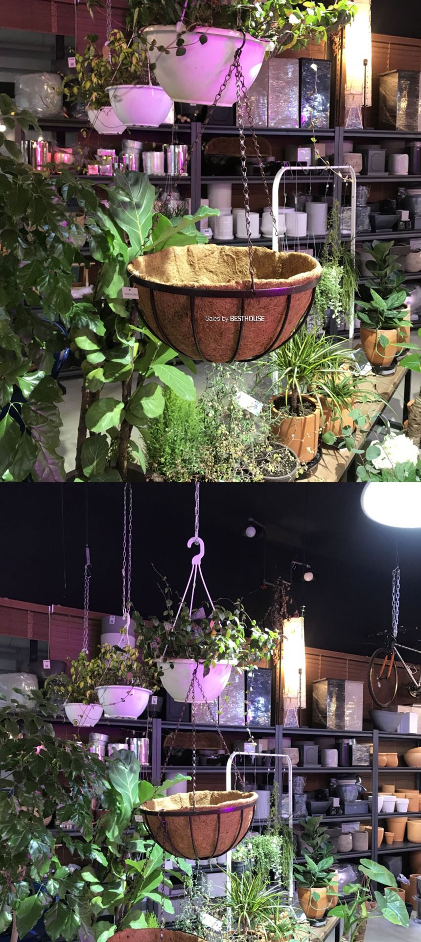 공중걸이 행잉 바구니 원형 일반형(대) 30cm 코코넛 야자/행잉화분/바구니화분/걸이식화분/공중부양화분/공