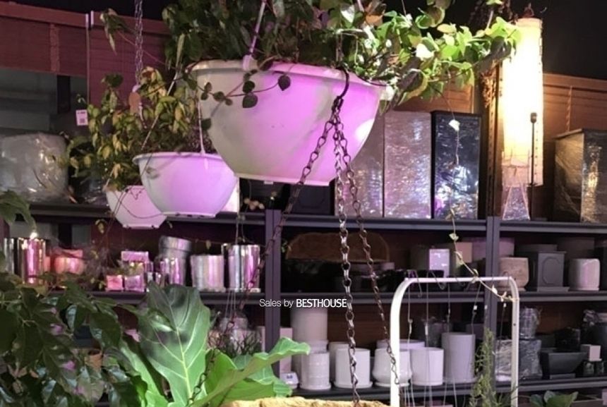 공중걸이 행잉 바구니 원형 일반형(대) 30cm 코코넛 야자/행잉화분/바구니화분/걸이식화분/공중부양화분/공