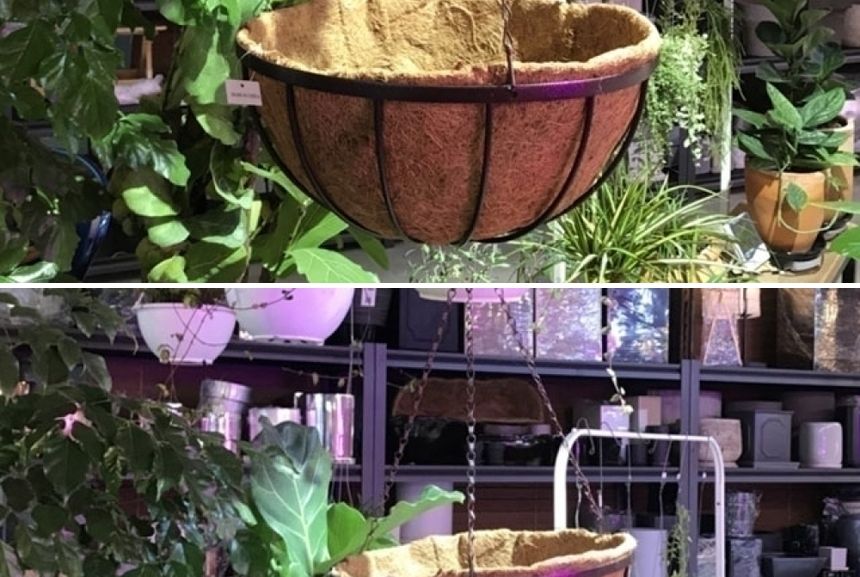 공중걸이 행잉 바구니 원형 일반형(대) 30cm 코코넛 야자/행잉화분/바구니화분/걸이식화분/공중부양화분/공