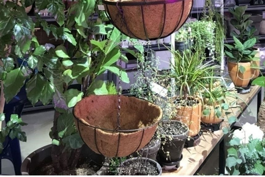 공중걸이 행잉 바구니 원형 일반형(대) 30cm 코코넛 야자/행잉화분/바구니화분/걸이식화분/공중부양화분/공