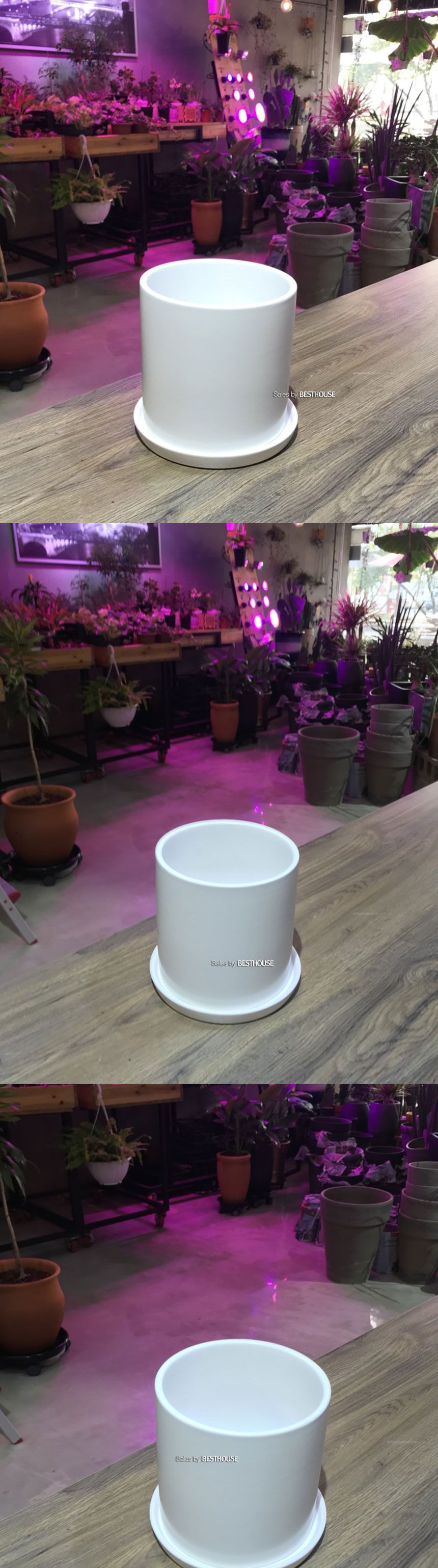 모던 무광 도기화분 화이트 원통형 18x18cm/화분/정원용품/홈가드닝용품/가드닝용품/가정용화분/식물화분/