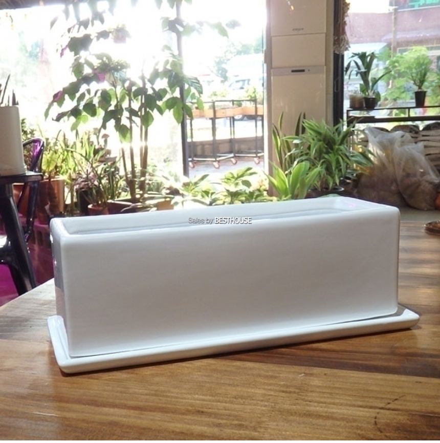 모던 유광 도기화분 화이트 옆이 넓은 직사각 30x10x10cm/화분/심플화분/예쁜화분/감성화분/화분선물/모던
