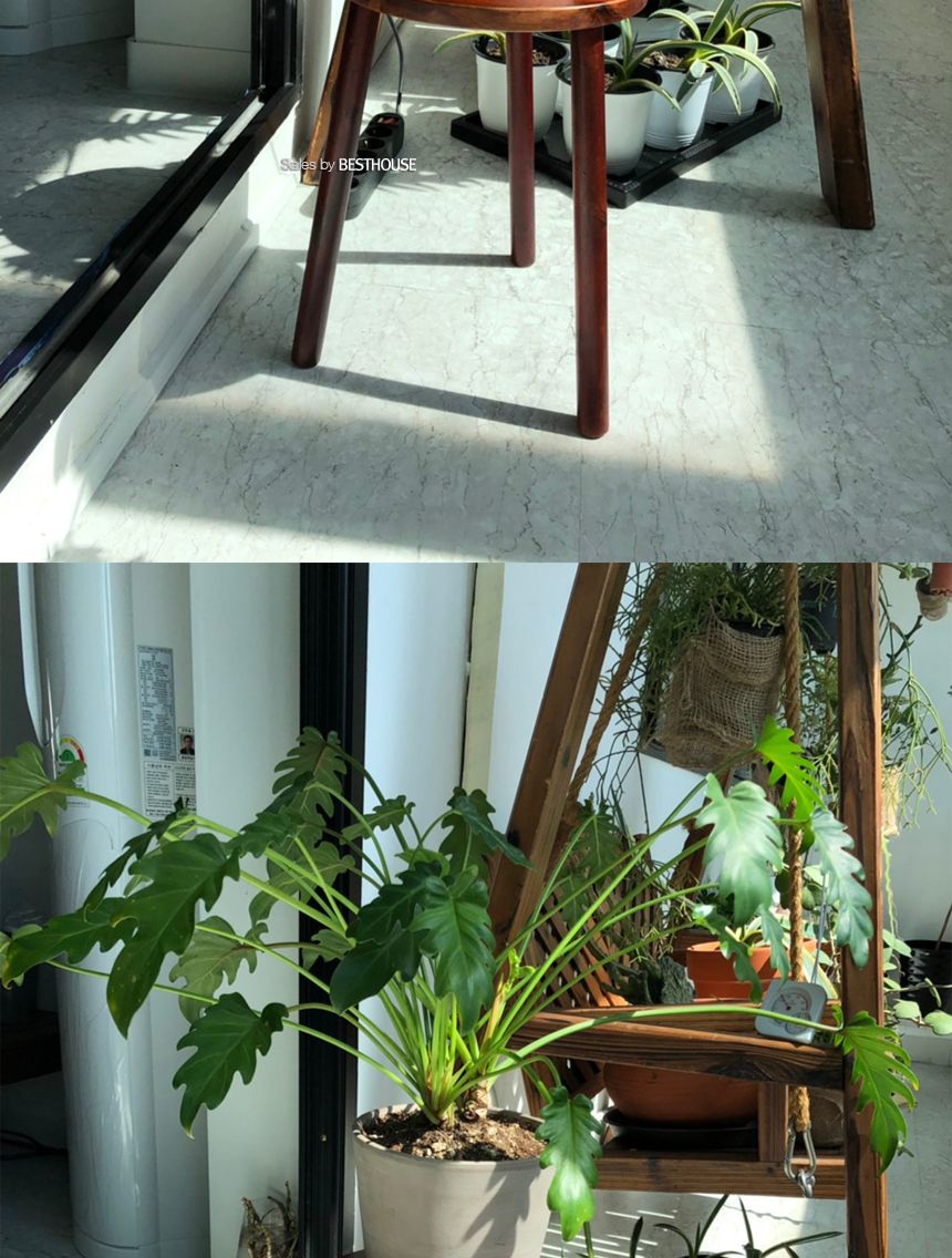 원목 화분 받침대 우드스텐드 30x40cm (스툴)/원목화분정리대/원목화분받침/원목화분대/고급화분받침대/디