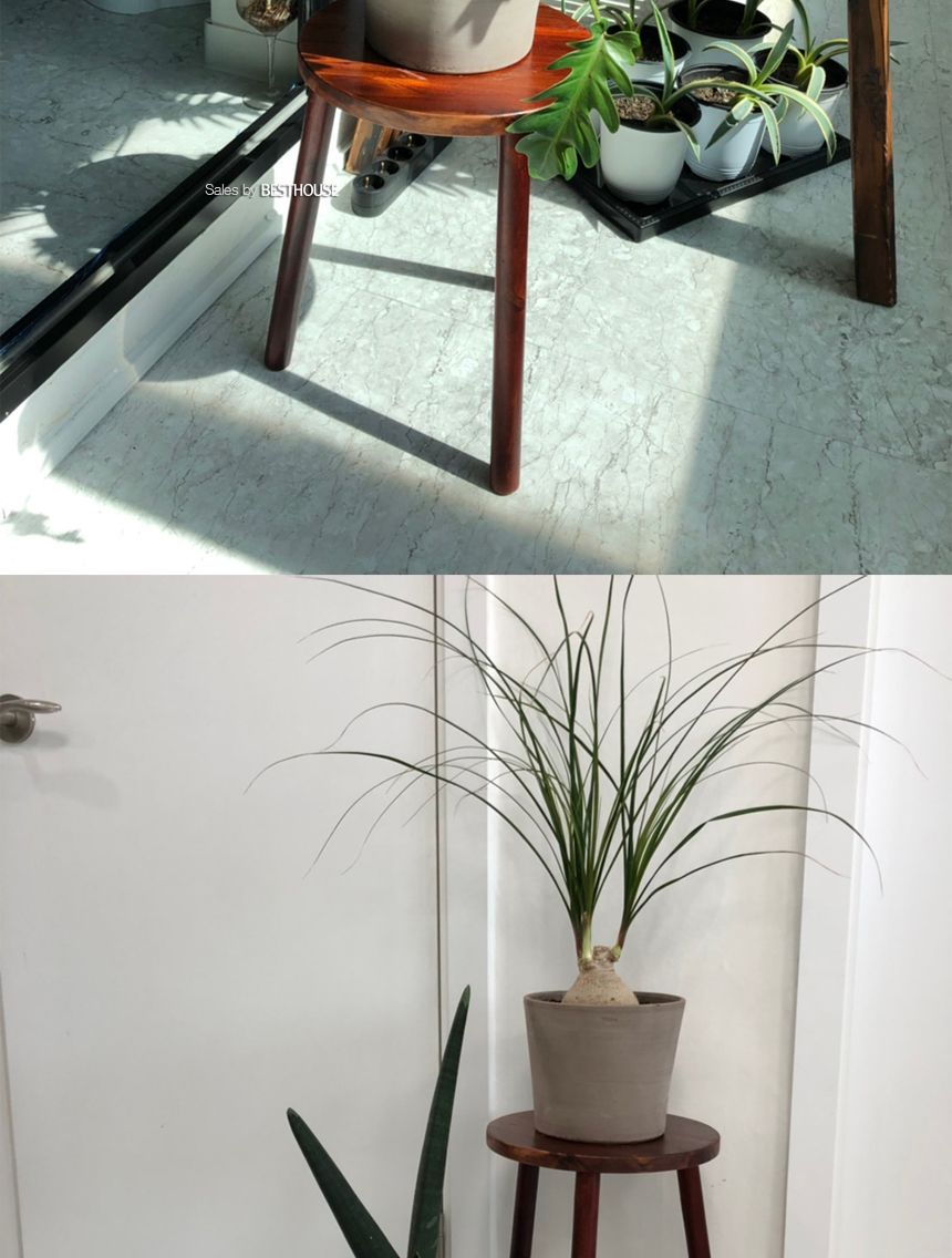 원목 화분 받침대 우드스텐드 30x40cm (스툴)/원목화분정리대/원목화분받침/원목화분대/고급화분받침대/디