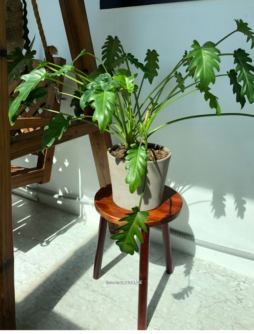 원목 화분 받침대 우드스텐드 30x40cm (스툴)/원목화분정리대/원목화분받침/원목화분대/고급화분받침대/디