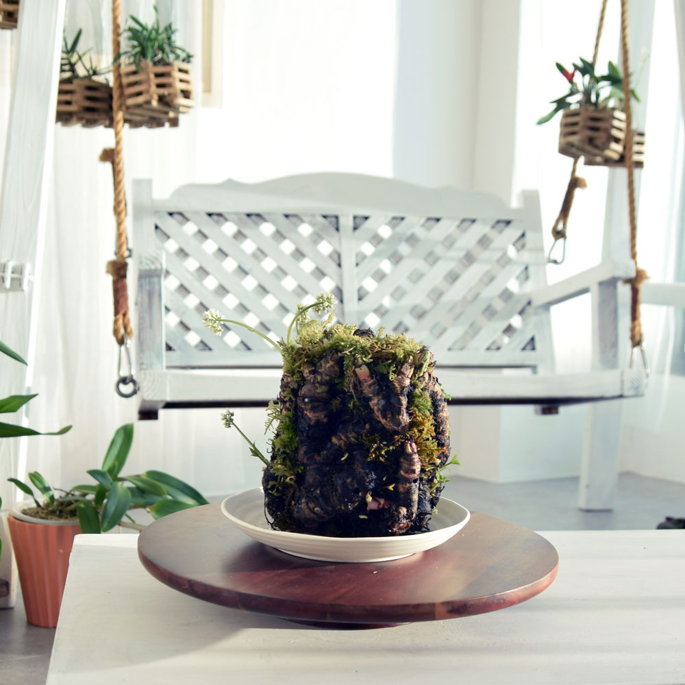 원목 회전 화분받침대 꽃꽂이 돌림판 33cm/화분받침/화분받침대/화분물받침/인테리어화분받침대/디자인화분