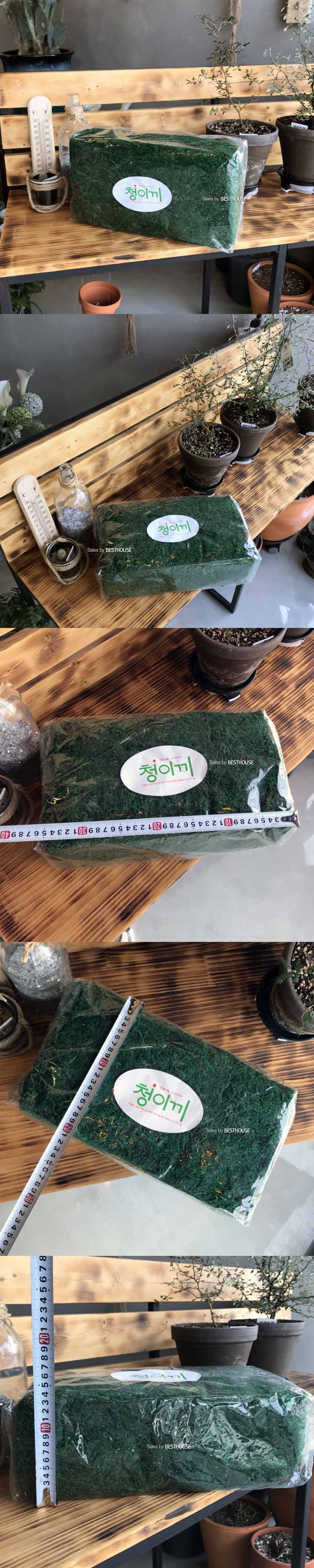 화분 데코레이션용 청이끼 35x20x11cm/가짜이끼/진짜같은이끼/화분데코이끼/인테리어이끼/인조이끼/데코용