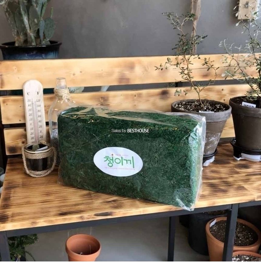 화분 데코레이션용 청이끼 35x20x11cm/가짜이끼/진짜같은이끼/화분데코이끼/인테리어이끼/인조이끼/데코용