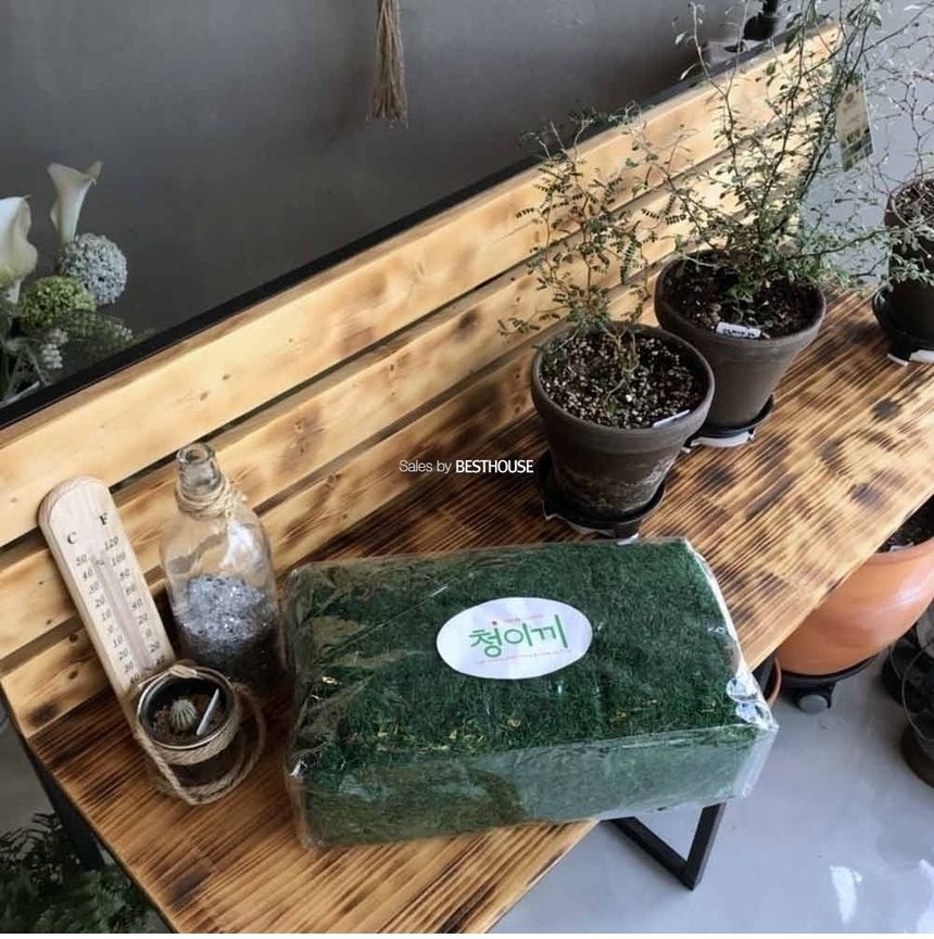화분 데코레이션용 청이끼 35x20x11cm/가짜이끼/진짜같은이끼/화분데코이끼/인테리어이끼/인조이끼/데코용