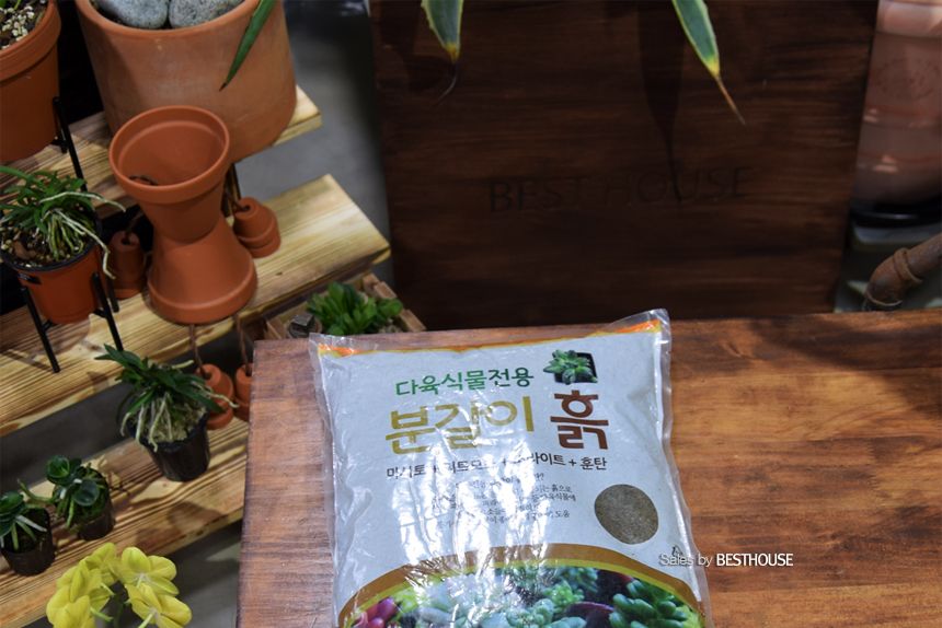 한성 묵직한 선인장 다육이 전용 분갈이 흙 (약4.5Kg)/흙/원예용흙/원예흙/원예용품/식물키우기/분갈이용흙