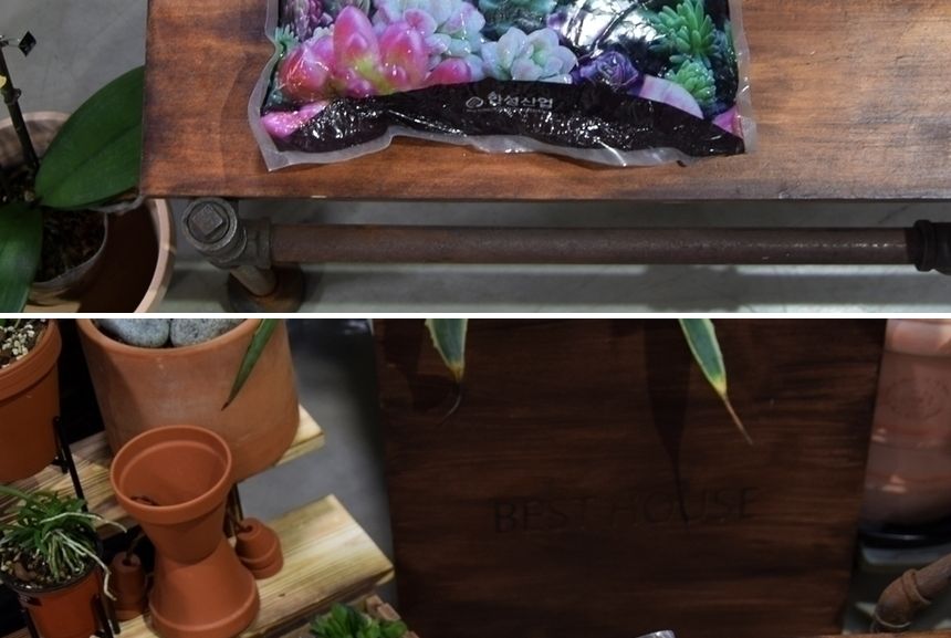 한성 묵직한 선인장 다육이 전용 분갈이 흙 (약4.5Kg)/흙/원예용흙/원예흙/원예용품/식물키우기/분갈이용흙