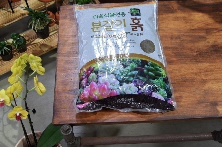 한성 묵직한 선인장 다육이 전용 분갈이 흙 (약4.5Kg)/흙/원예용흙/원예흙/원예용품/식물키우기/분갈이용흙