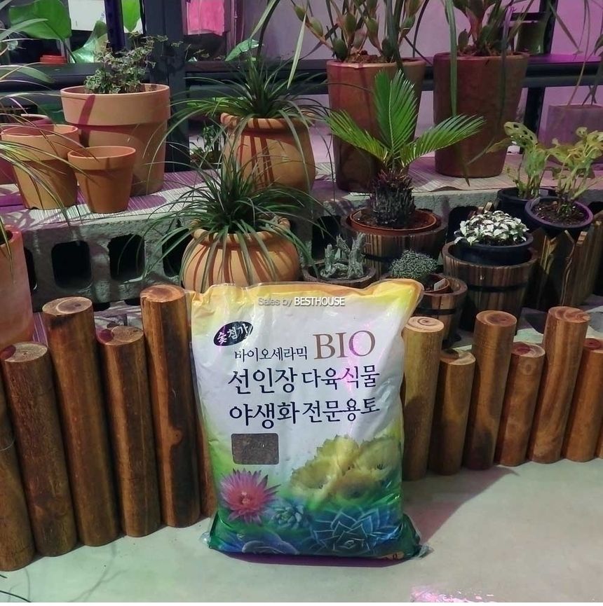 바이오세라믹 BIO 선인장 다육이 전용 분갈이 흙 12L(대)/흙/원예용흙/원예흙/원예용품/식물키우기/분갈이