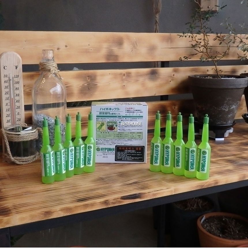 하이포넥스 앰플 (35ml x 10개) 그린/앰플비료/앰플영양제/비료/영양제/화분영양제/화분영양/식물영양제/화