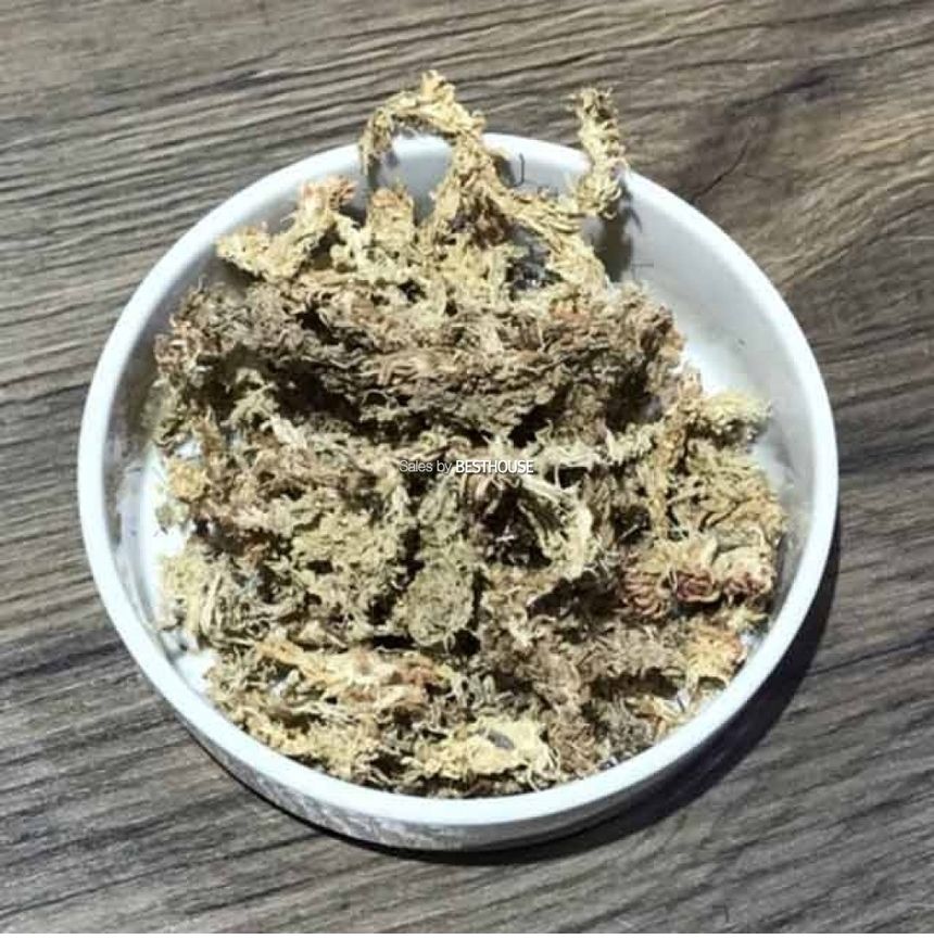 천연수태 (150g) 건조 압축 수태 토피어리 풍란 난 재배용/수태/압축수태/건조수태/건조압축수태/토피어리