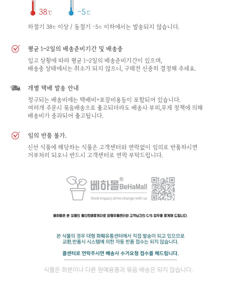 베하몰 실내 화초 토피아리 율마 중품 약33cm/율마/실내화초/화초/식물키우기/식물/원예/토피아리율마