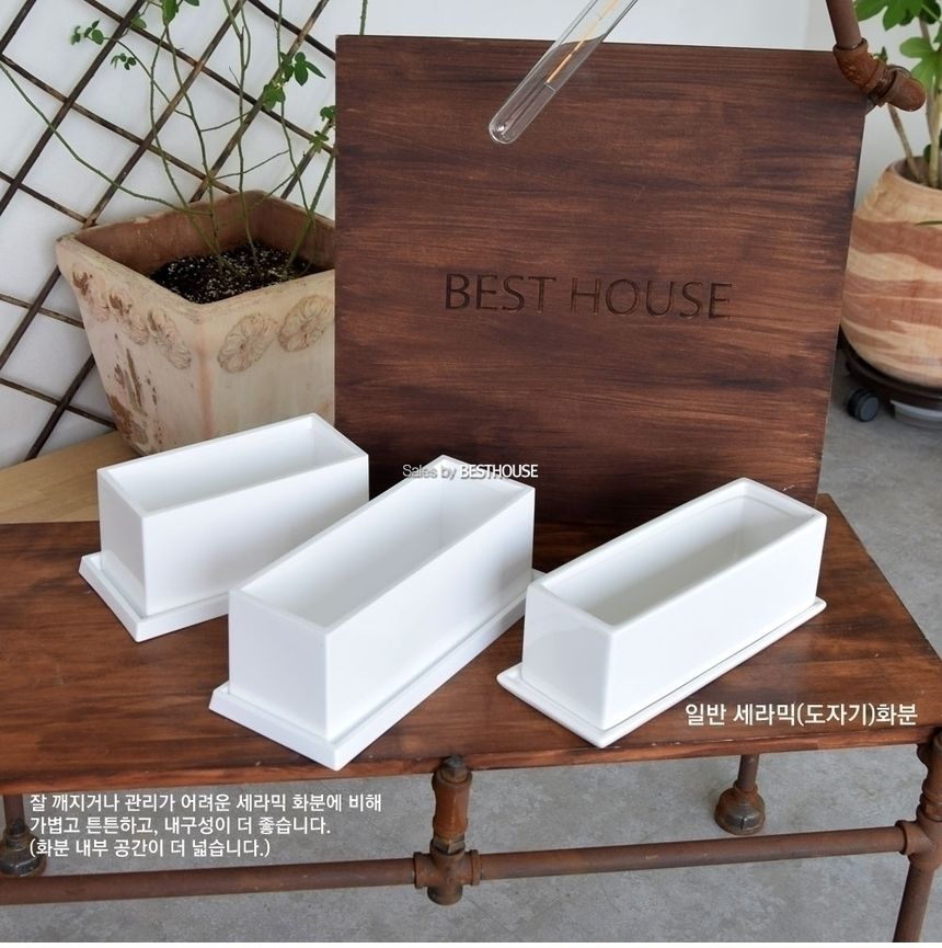 엣지플라스틱 옆이넓은 직사각 화분 23x10x11cm/화분/예쁜화분/플라스틱화분/원예용품/정원용품/분갈이화분