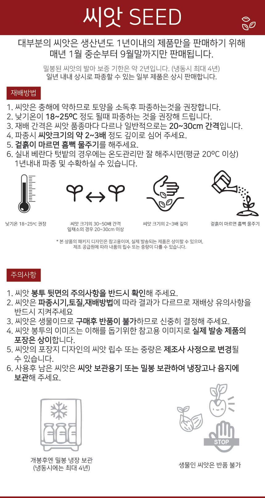 2025 씨앗 삼채/삼채종자/삼채씨/삼채씨앗/씨/씨앗/종자/야채씨앗/야채종자/텃밭/텃밭가꾸기/텃밭씨앗/모종