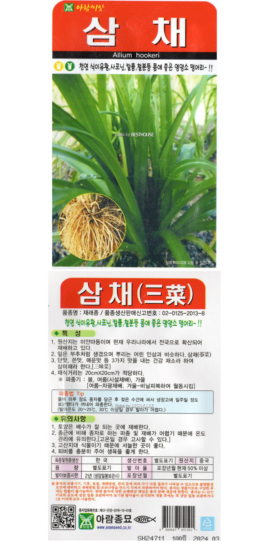 2025 씨앗 삼채/삼채종자/삼채씨/삼채씨앗/씨/씨앗/종자/야채씨앗/야채종자/텃밭/텃밭가꾸기/텃밭씨앗/모종