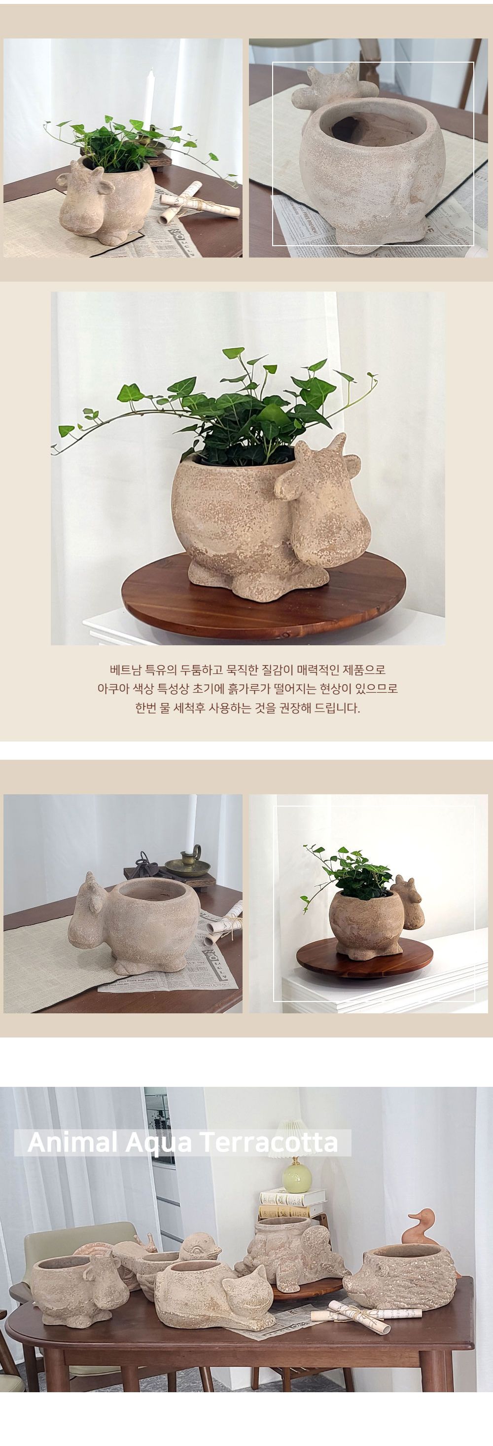 테라원 빈티지 아쿠아 애니멀 동물 토분 카우(소)/빈티지화분/카우화분/인테리어화분/거실화분인테리어/개