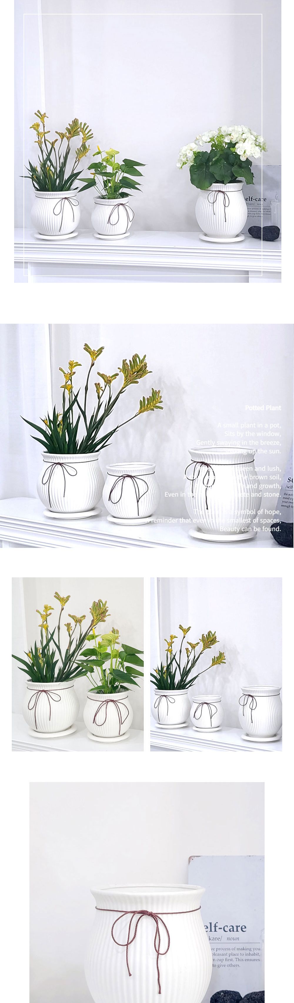 모던 도기 화분 리본단지 화이트무광 D14x15cm/화분/예쁜화분/도기화분/원예용품/정원용품/분갈이화분/홈가
