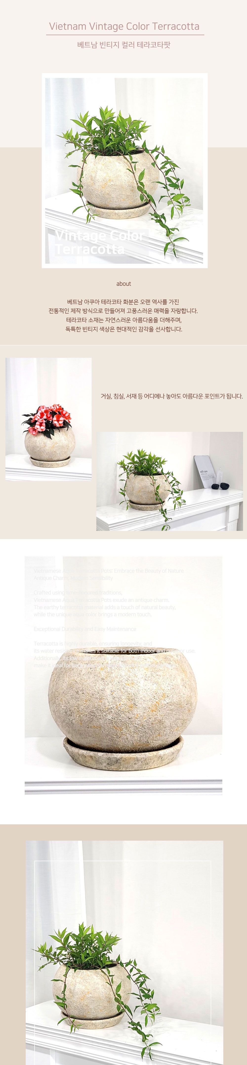 베트남 빈티지 컬러 토분 화분 루나 볼 20x18cm 레몬/화분/토분/가벼운화분/화분용기/원예용품/정원용품/분
