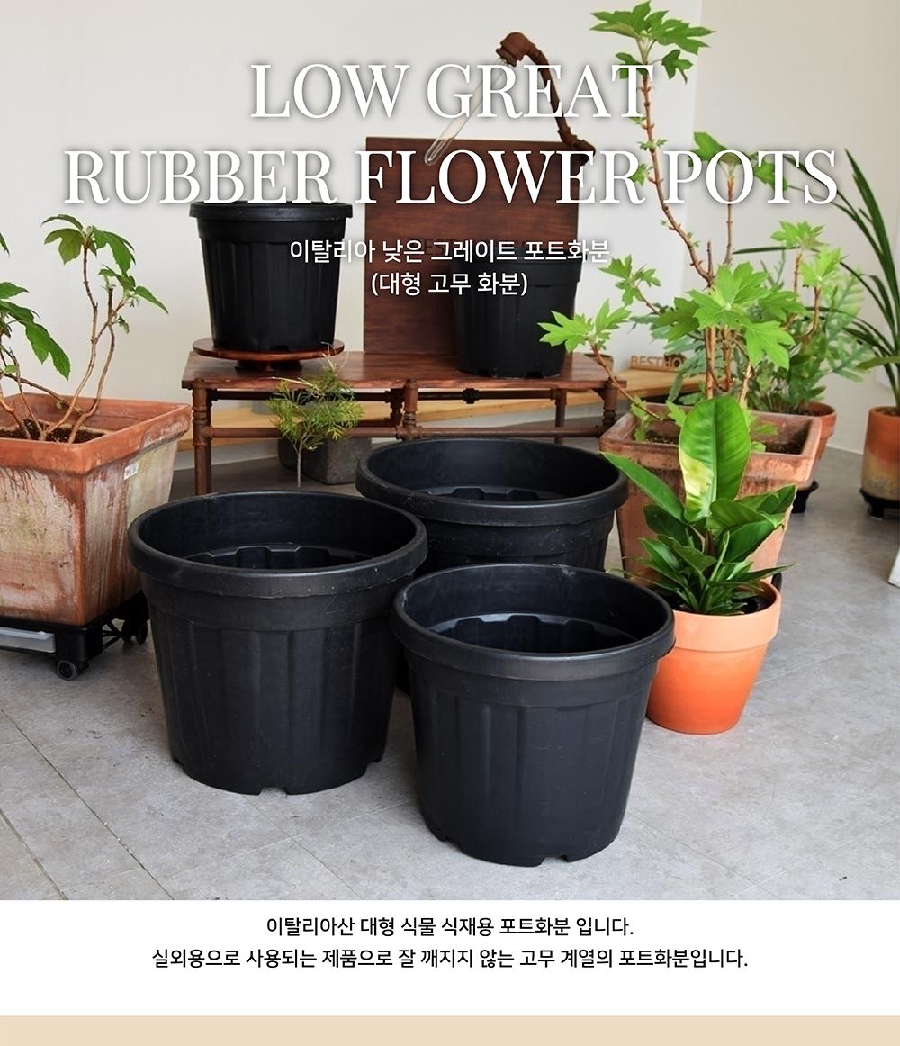 이탈리아 낮은 그레이트 포트화분 대형 고무 D15L/화분/정원용품/홈가드닝용품/가드닝화분/가정용화분/야외