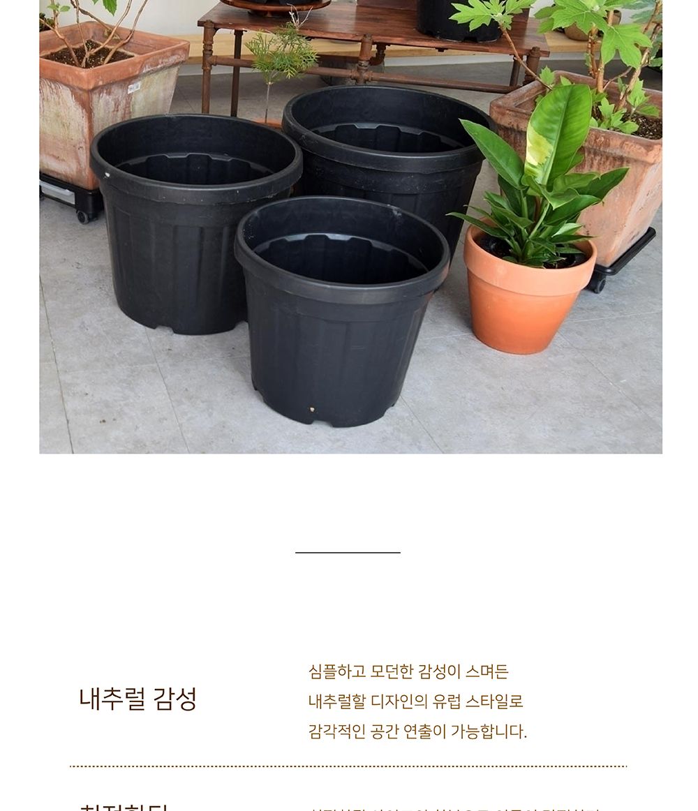 이탈리아 낮은 그레이트 포트화분 대형 고무 D15L/화분/정원용품/홈가드닝용품/가드닝화분/가정용화분/야외