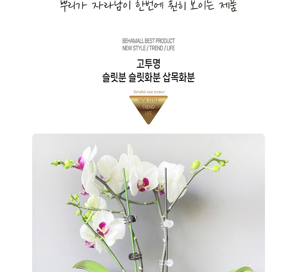 고투명 슬릿분 슬릿화분 삽목화분 14cm/화분/정원용품/홈가드닝용품/가드닝화분/가정용화분/야외용화분/대