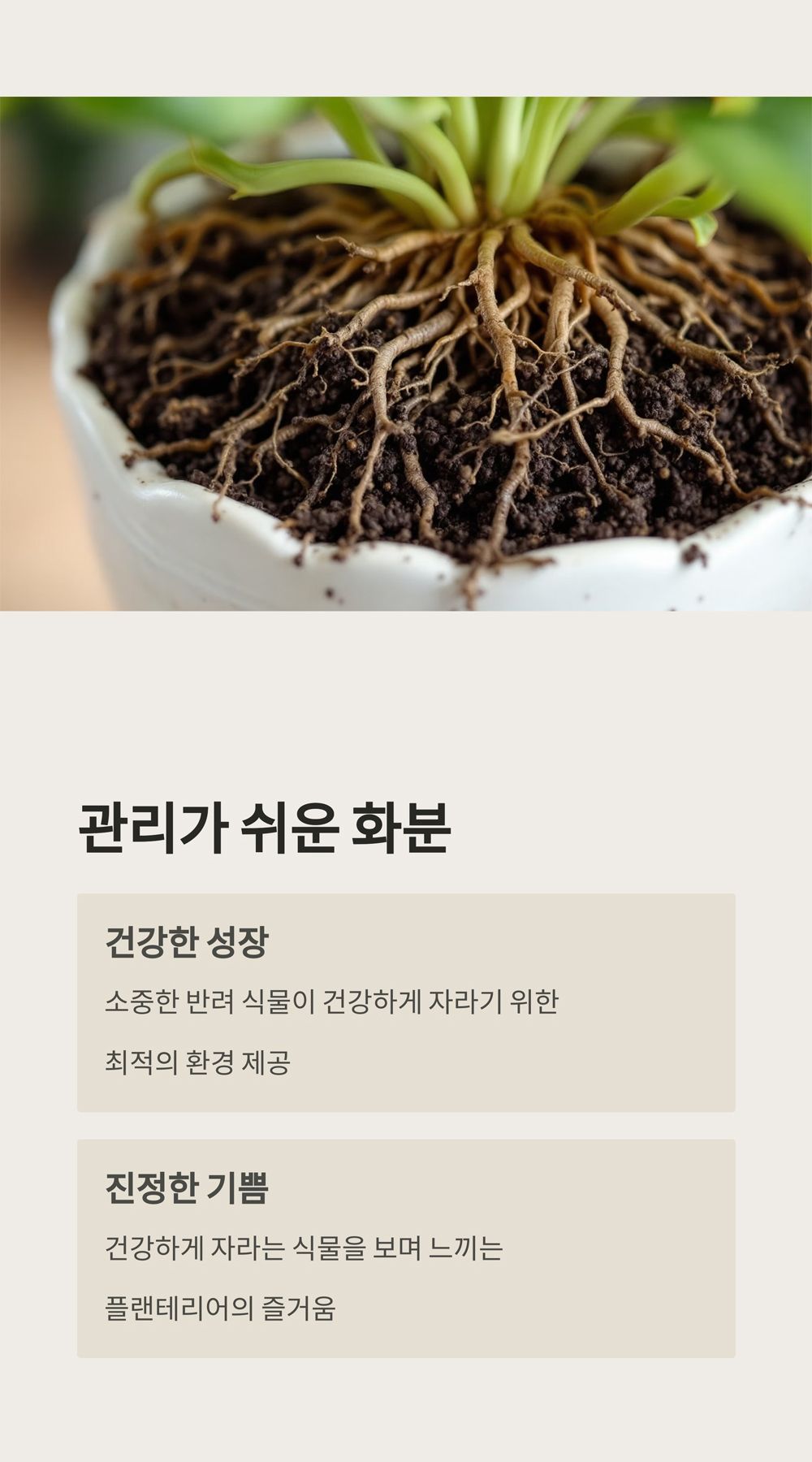 모던 도기 화분 세로줄 사일로팟 12 16 21 3개 셋트/세로줄화분/도기화분/식물화분/화분/인테리어화분/소품